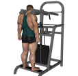 Shrug - Calf Machine